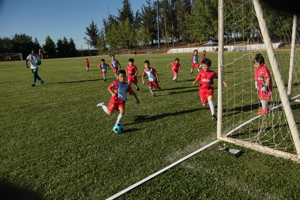 Final Campeonato de Escuelas de Fútbol Verano Litueche 2026
